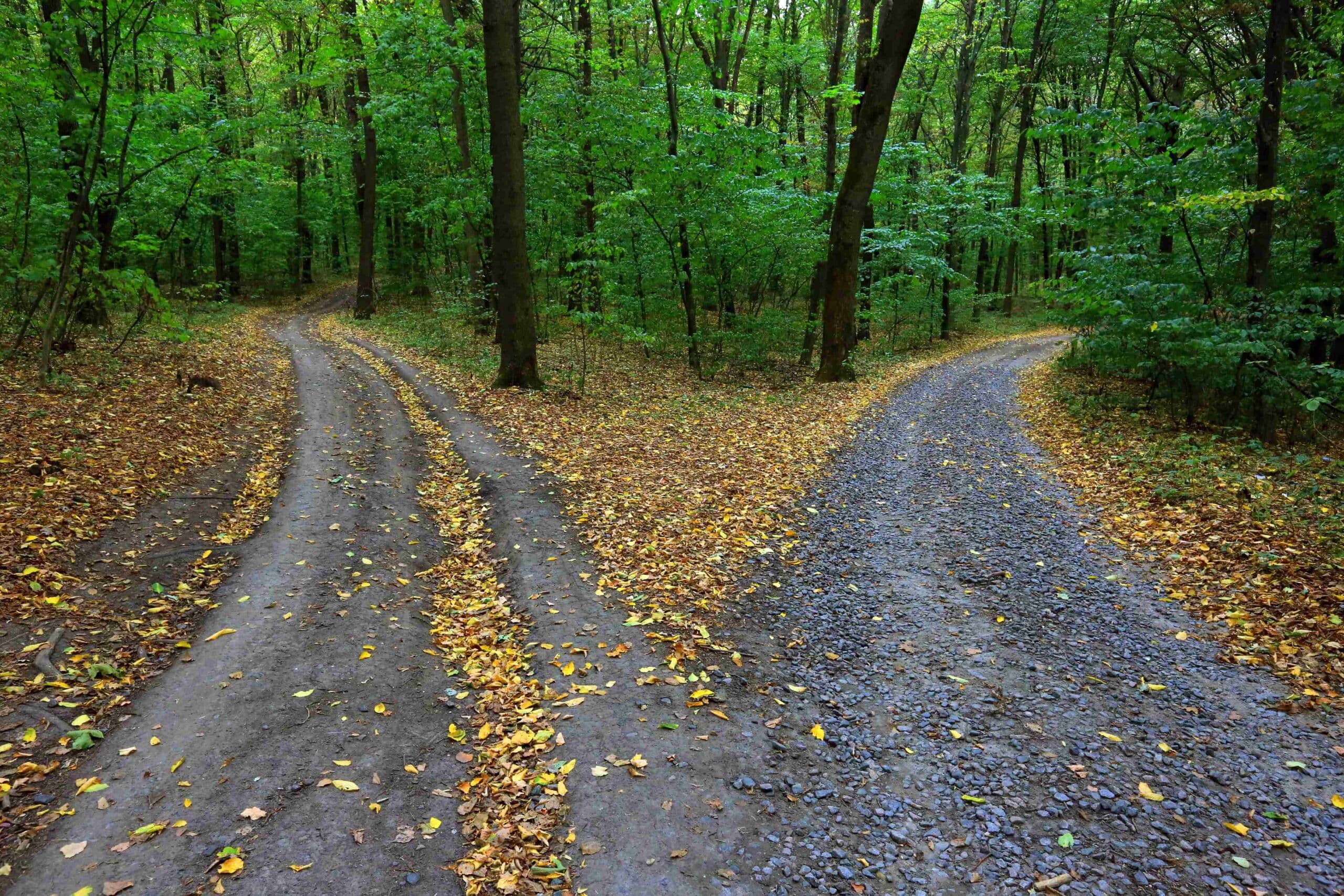 Embracing change: Auditors' views on generative AI